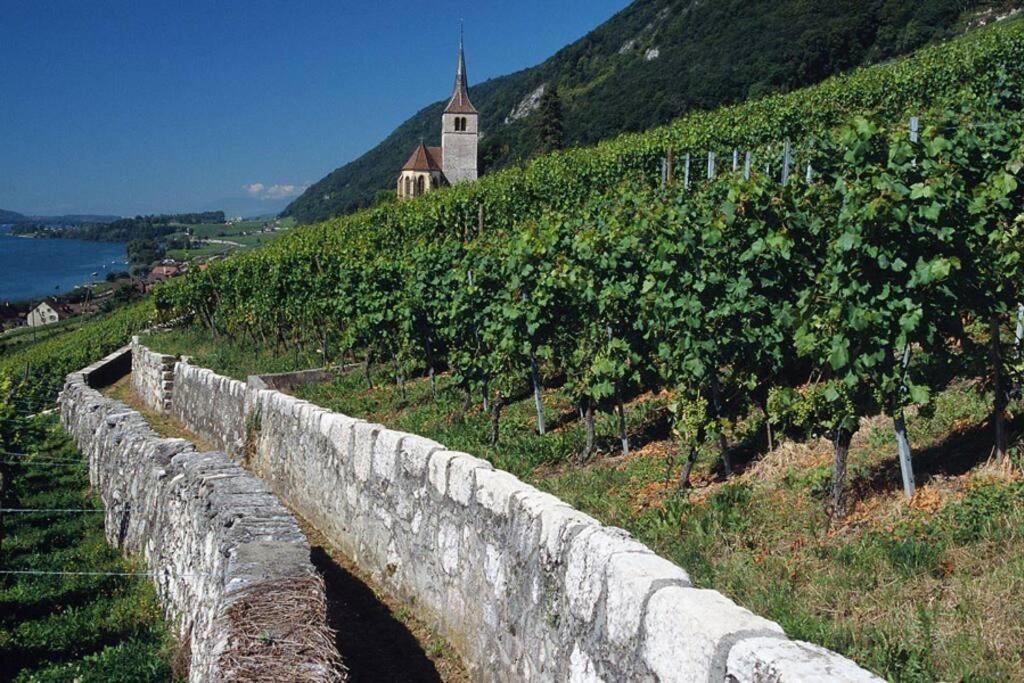 Chaleureux Entre Neuchatel Et Bienne *